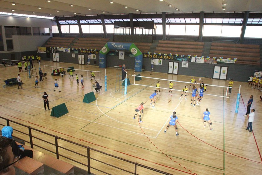 Federación Canaria de Voleibol