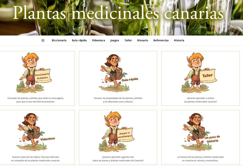 Plantas medicinales canarias