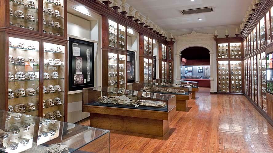 El Museo Canario se convertirá en el Museo Insular de Arqueología