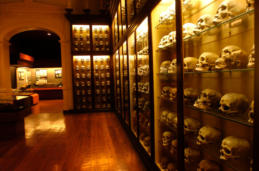 Imagen del interior del Museo Canario